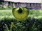 Zoom 'Shut-eye' (24bit JPG 320*240 20k)